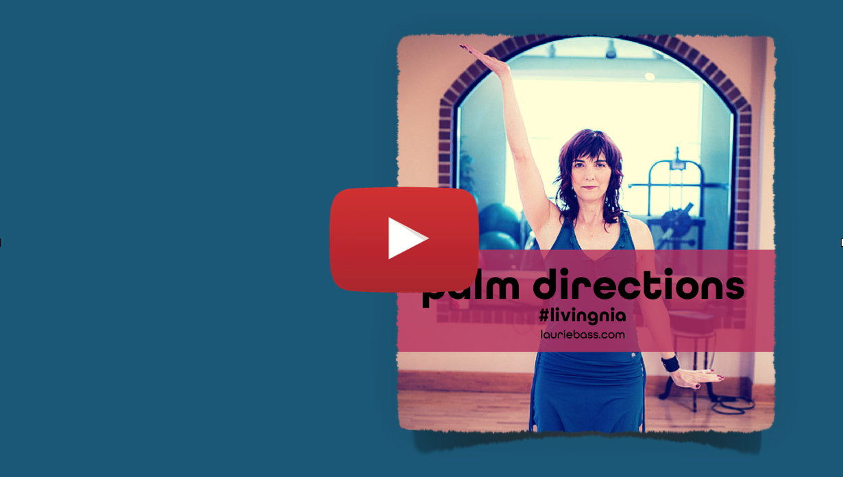 Palm Directions 2